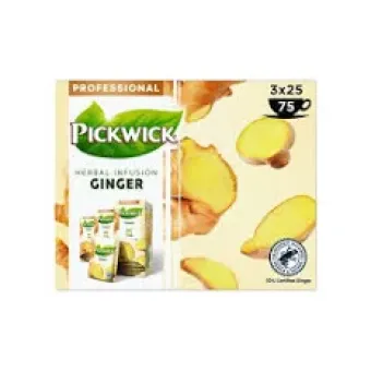 Pickwick thee Ginger (7182)