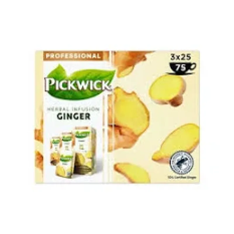 Pickwick thee Ginger (7182)